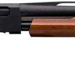 Winchester SXP Field Youth 20 Ga Pump Action 24" Barrel 512367690