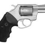 Charter Firearms Pathfinder 22 LR Stainless Steel 2" Barrel 72224