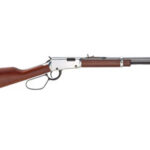 Henry Repeating Arms Evil Roy Frontier Carbine 22 LR H001TER