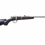 Henry Repeating Mini Bolt Youth 22 LR Black Synthetic Stainless Steel H005