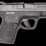 SMITH & WESSON M&P9 SHIELD PLUS for sale