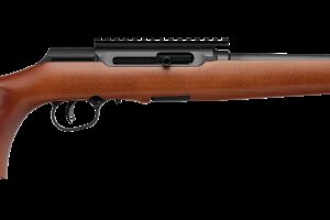 SAVAGE ARMS A22 TIMBER THUMBHOLE [WG] for sale