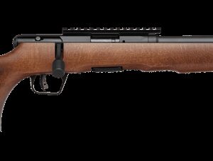 SAVAGE ARMS B17 TIMBER THUMBHOLE for sale