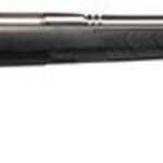 Savage B.Mag Rimfire Bolt .17 Winchester Super Magnum 22" Heavy Barrel SS 8 Rd Rotary Magazine