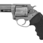 Charter Arms Pitbull