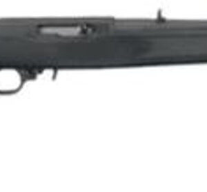 Ruger 10/22 Carbine Synthetic 22LR