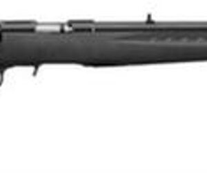 Ruger American Rimfire Rifle .22 Win Mag