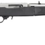 Ruger 10/22 Takedown Rifle