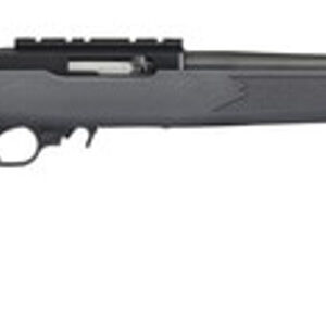 Ruger 10/22 Carbine .22 LR