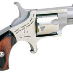 NAA 22 Short Mini-Revolver 1.12" Barrel 5rd Rosewood Grip SS