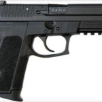 Sig SP2022 .40SW