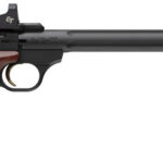 Browning Buckmark Hunter 22 LR