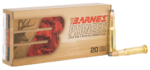 Barnes Pioneer 30-30 Winchester