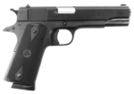 Rock Island GI Entry 45 ACP