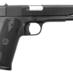 Rock Island GI Entry 45 ACP