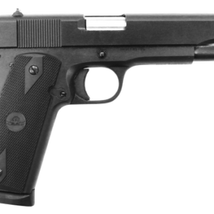 Rock Island GI Entry 45 ACP