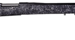 Remington 700 308 Winchester