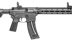 Smith & Wesson M&P 15-22 Sport 22 LR