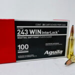 Aguila 243 Winchester