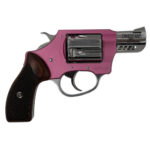 Charter Arms Coyote 380 ACP