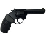 Charter Pathfinder Lite 22 LR