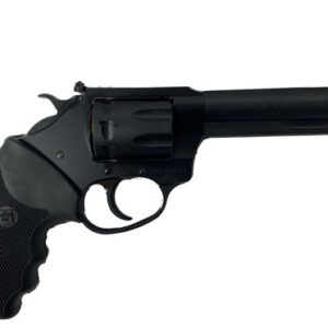 Charter Pathfinder Lite 22 LR