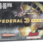 Federal Premium 30-06 Springfield