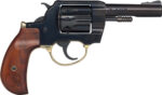 Henry Golden Boy 22 LR