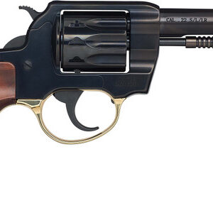 Henry Golden Boy 22 LR