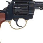 Henry Golden Boy 22 LR