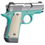 Kimber Micro 380 ACP