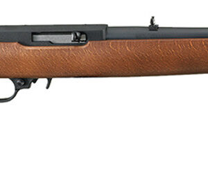 Ruger 10/22 Carbine .22 LR