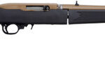 Ruger 10/22 Takedown 22 LR