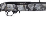 Ruger 10/22 22 LR