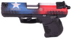 Ruger SR22 22 LR