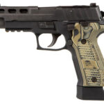 Sig Sauer P226 9mm