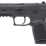 Sig Sauer P320 Compact 9mm Luger 3.9" BBL (2)15RD Mags Black