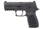 Sig Sauer P320 Compact 9mm Luger 3.9" BBL (2)15RD Mags Black