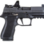 Sig Sauer P320 RXP 9mm