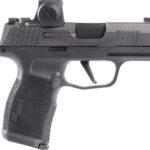 Sig Sauer P365 9mm