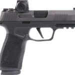 Sig Sauer P365 9mm