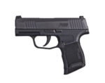 RENTAL Sig Sauer P365 9mm