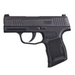 RENTAL Sig Sauer P365 9mm