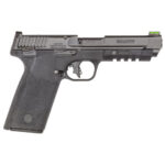 Smith & Wesson M&P 22 WMR