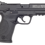 Smith & Wesson M&P 22 LR