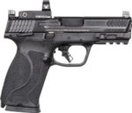 Smith & Wesson M&P M2.0 10mm