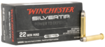 Winchester Silvertip 22 Magnum