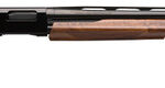 Winchester SXP 20 Ga