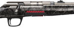 Winchester Xpert SR 22 LR