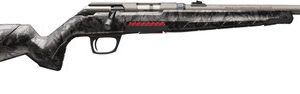 Winchester Xpert SR 22 LR